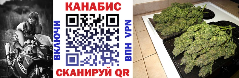 Шишки марихуана конопля  купить наркотики сайты  Шебекино 